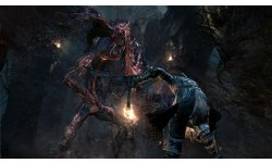 Bloodborne (47)
