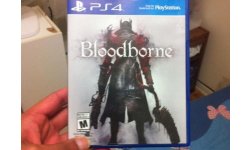 Bloodborne (5)