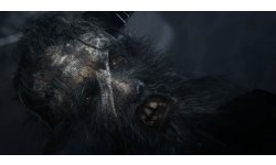 Bloodborne