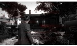 Blues and Bullets03