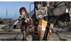 borderlands ss 11