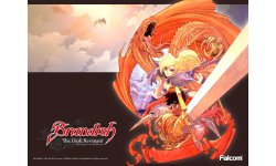 brandish the dark revenant wall 11