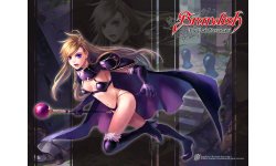 brandish the dark revenant wall 17