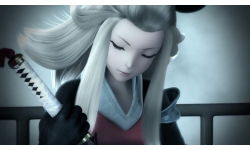 bravely default head
