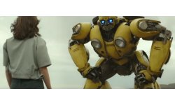 Bumblebee head