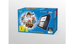 Bundle 2DS