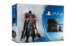 Bundle PS4 bloodborne pack