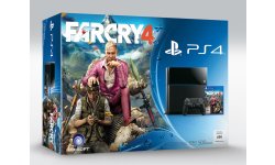 Bundle PS4 Far Cry 4