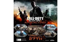 Call of Duty Black Ops II Apocalypse art