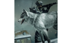 Call of Duty Ghosts DLC loup