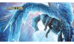 Capcom Monster Hunter