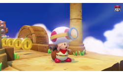 captaintoad3