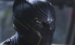 CINEMA BLACK PANTHER (5)