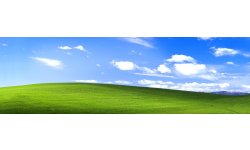 Colline verdoyante large Windows XP