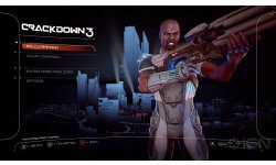 Crackdown 3 head