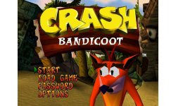 Crash Bandicoot image
