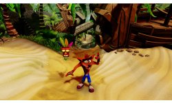 Crash Bandicoot N. Sane Trilogy idle animation idee