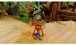 Crash Bandicoot N. Sane Trilogy idle