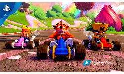 Crash Team Racing Nitro Fueled head