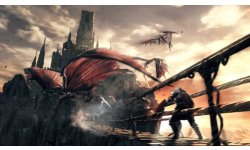 Dark Souls II 02 11 2013 screenshot 15