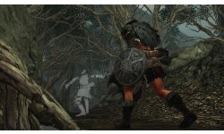 Dark Souls II 17.01.2014 (9)