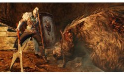Dark Souls II 25 01 2014 screenshot 4