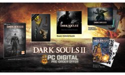 Dark Souls II bonus pre?commande Steam