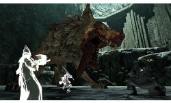Dark Souls II Scholar of the First Sin 15 01 2015 screenshot 7