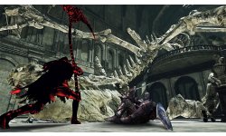 Dark Souls II Scholar of the First Sin (5)