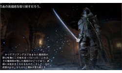 Dark Souls III Ashes of Ariandel image screenshot 9