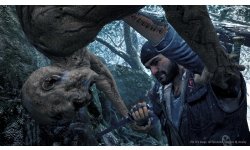 Days Gone 2017 06 12 17 003