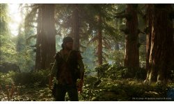 Days Gone 2017 06 12 17 006