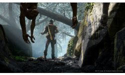 Days Gone 2017 06 12 17 007