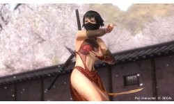 Dead or Alive 5 Last Round (6)
