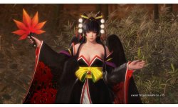 Dead or Alive 6 vignette 11 01 2019