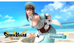 DeadOrAliveXtreme3 X Senran Kagura 10 (10)