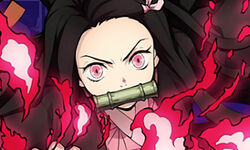 Demon Slayer Kimetsu no Yaiba The Hinokami Chronicles test switch