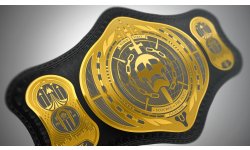Destiny 2 Renégats ceinture récompense Raid Fléau du Passé 07 12 2018