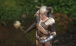 Diablo II Resurrected (14)