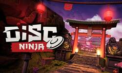 disk ninja vignette