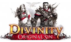 Divinity Original Sin Will Launch on Linux