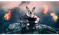 Dog of War vignette 20 04 2018