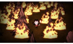 Don't Starve screenshot 19012014 004
