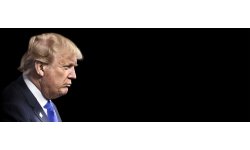 donald trump looking