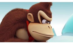 Donkey Kong Country Tropical Freeze 11.03.2014
