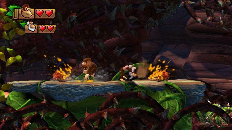 Donkey Kong Country Tropical Freeze 19.12.2013 (14)