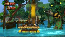 Donkey Kong Country Tropical Freeze 21.01.2014  (4)