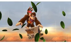 Donkey Kong Country Tropical Freeze 21.01.2014 (9)