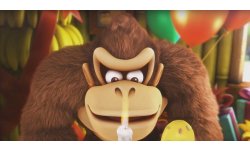 Donkey Kong Country Tropical Freeze