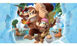 donkey kong tropical freeze